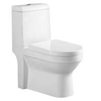 Modern design cheap sanitary wares closestool ceramic two piece toilet